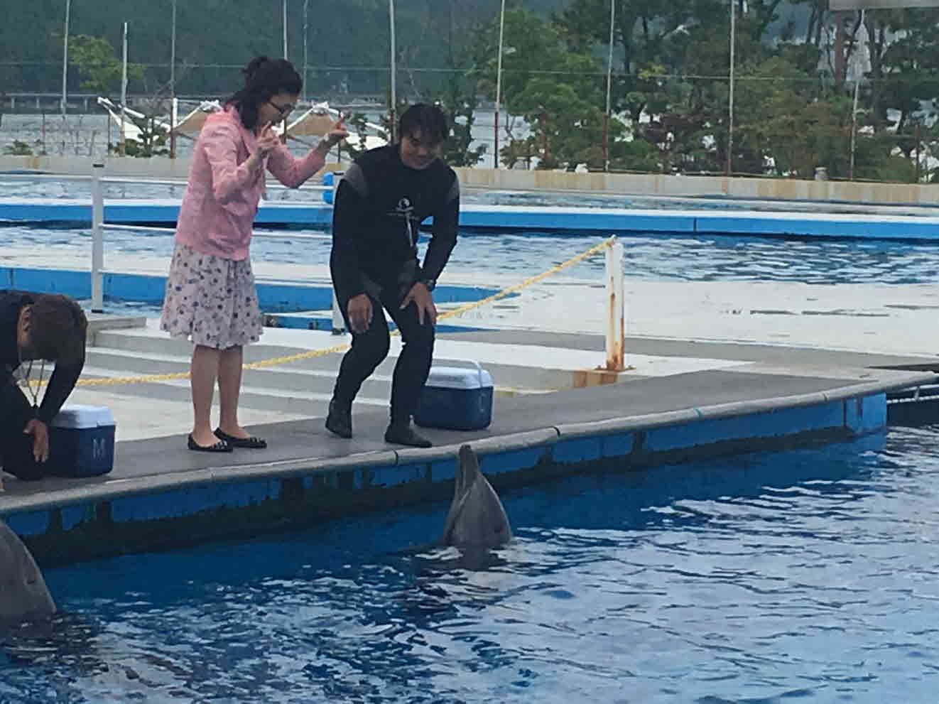 [크기변환]photo_1559180666.jpeg